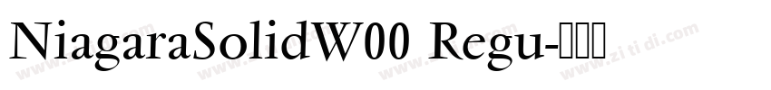 NiagaraSolidW00 Regu字体转换